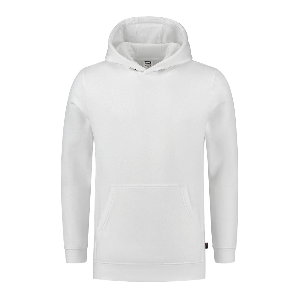 article TRC301019-W 0